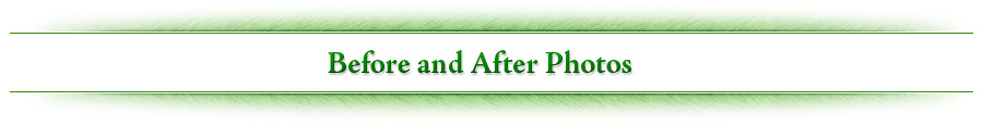 Green Horizon Landscaping - Landscaping Gallery