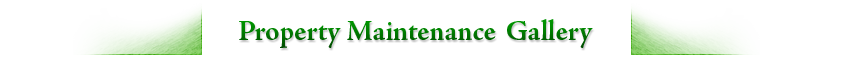 Green Horizon Landscaping - Residential Property Maintenance Services in CT
